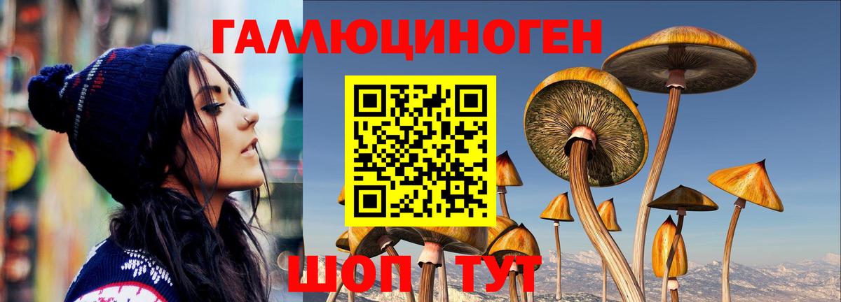 Карасук  Псилоцибиновые грибы Magic Shrooms  Псилоцибиновые грибы мухоморы  Вход с VPN 